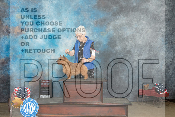 Norwich Terrier #5 Fri G2 Judge Jacqueline L Stacy_MJ_6143_ARK2023_HR3