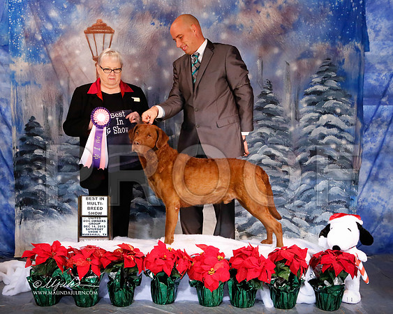 chessie-6186-MrshlDec13-HR