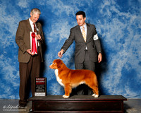 Nova Scotia Duck Trolling Retriever #5 Fre G2 Mosing Jennifer and L Fitzmaurice and K Webb Agent Brian Livingston Judge Jon cole