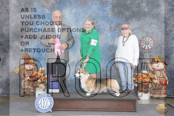 Pembroke Welsh Corgi #21 Sat OHG1 Judge Joe Purkhiser_WP_0019e_Amarillo 2026