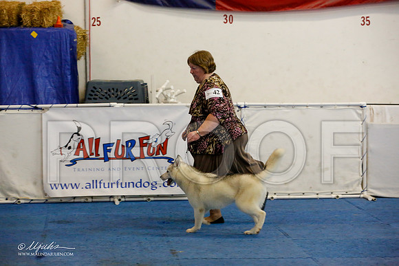 _M3_8814-AddisonHuskyMar2015-HR3