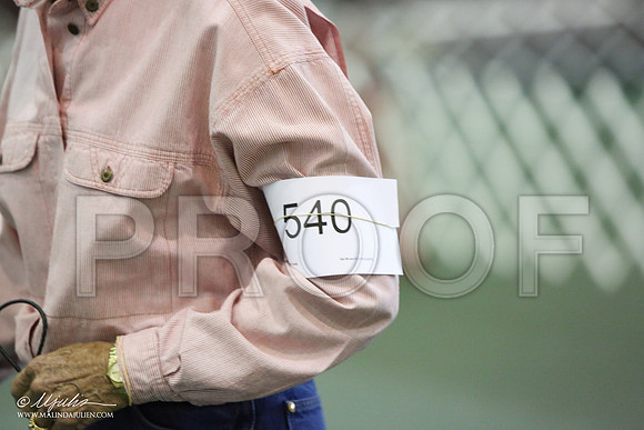 ObVers-6680-HR