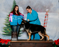 German Shepherd Dog #? Sat Alt BIS Judy Malone