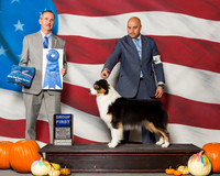 Australian Shepherds #14 Sat G1 Green Sherry Judge Mr Rick Gschwender