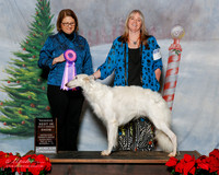 Silken Windhound #? Sun S1 RBIS Lynn Shell Judge  Melissa Kidd