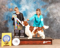 Welsh Springer Spaniel #27 Fri SD Judge Peggy Beisel McIlwainer