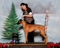 Rhodesian Ridgeback #254 Sat NC G2 Joan Lowrey