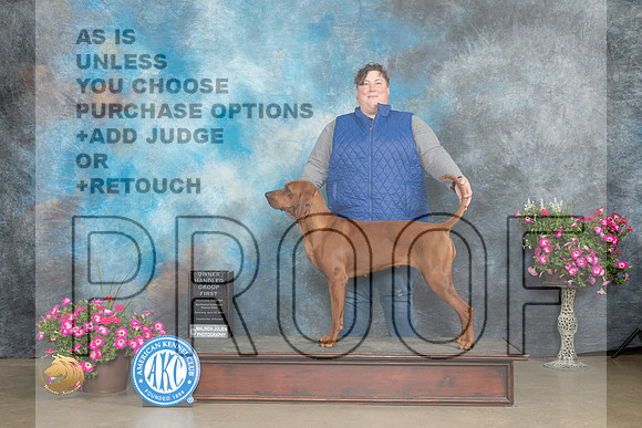 Redbone Coonhound #8 Sat OHG1 Judge Laurie Telfair r_MJ_6980_ARK2023_HR3