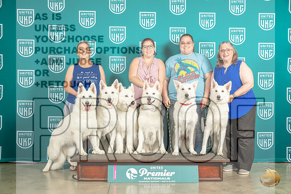 White Shepherds Too ManyMJP_6026_Premier2023_HR3