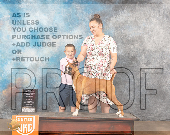 Boxer #194 Fri1 BOWNCh Judge Sonia YearwoodMMJ_5811_Lngvw2022HR3