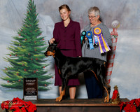 Doberman Pinscher #? Sun S2 G1 Judge Kathie Treacy