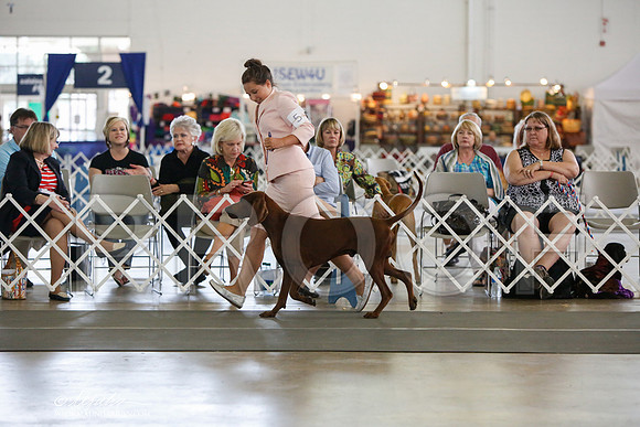 _JJ_2809-DallasJul2014-HR3
