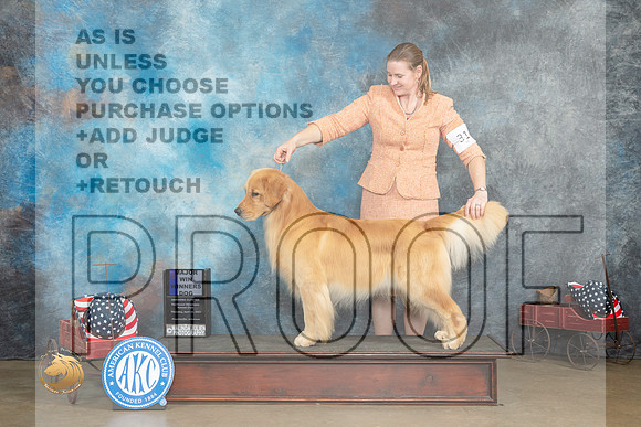 Golden Retriever #31 Thurs WDM Judge  Edweena (Teddy) McDowell_MJ_5693_ARK2023_HR3