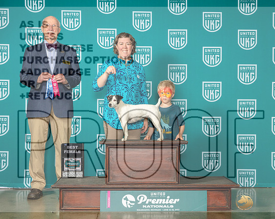 Parson Russell Terrier #350 Fri BF Judge Ron Horn-MJP_4649e-Premier2023-HR3