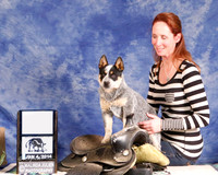 Australian Cattle Dog B Match