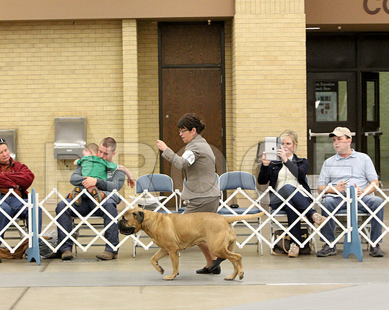 6-8VetSweeps-7359
