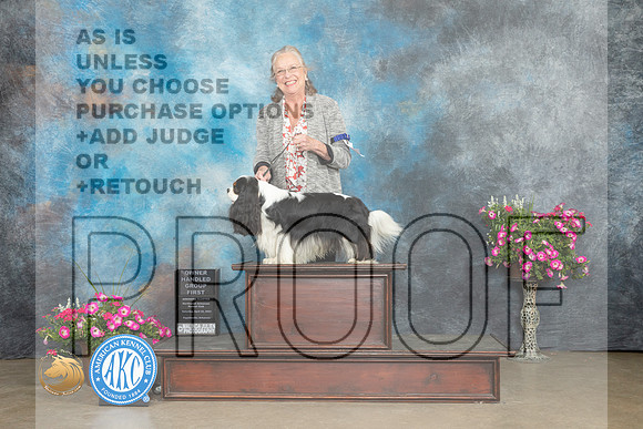 Cavalier King Charles Spaniel #9 Sat OHG1 Judge Laurie Telfair_MJ_6755_ARK2023_HR3