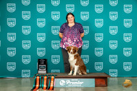 Australian Shepherd #172 Thur All Stars