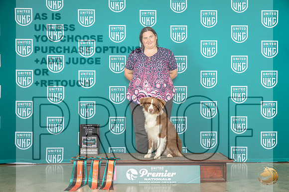 Australian Shepherd #172 Thur All StarsMJP_4066_Premier2023_HR3