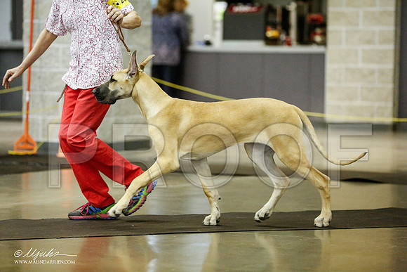 _RH_1692-BeltonJan2015IABCA-HR3