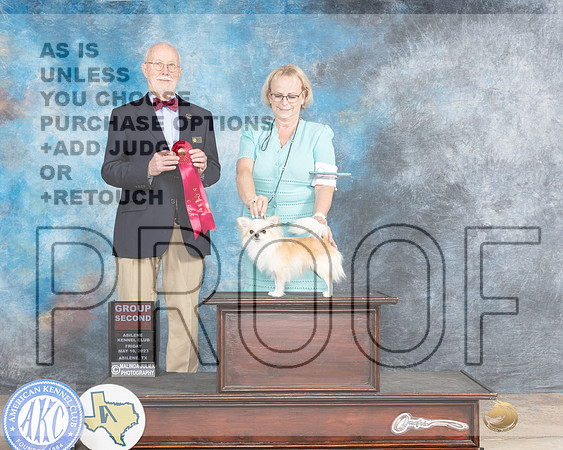 Chihuahua Long Coat #? Fri G2 Judge Ron Horn-MJP_0483e_Abilene2023-HR3