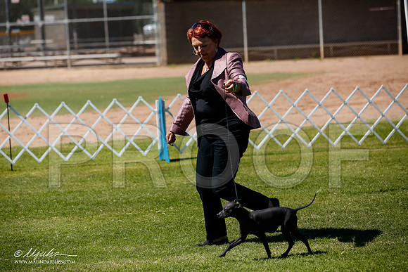 _JJ_8169-AlamogordoOct2014-HR3