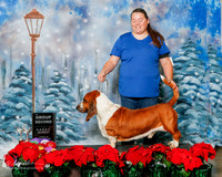 Basset Hound #? Sun G2 Sharon Powell