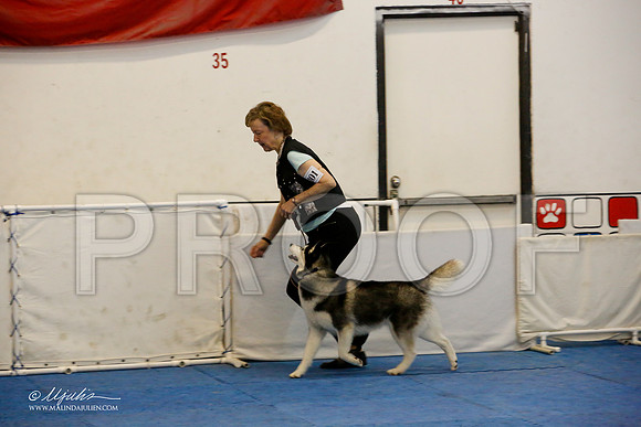 _M3_7372-AddisonHuskyMar2015-HR3