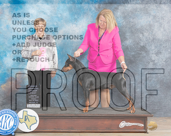 German Pinscher #5 Fri OHG1 Judge Bev Andersen r-MJP_0931e_Abilene 2023-HR3