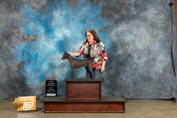 American Hairless Terrier #362 Sun COCGCH Judge Lynn Martin