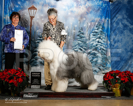 _ST_9478-2-DallasDec2014-HR3