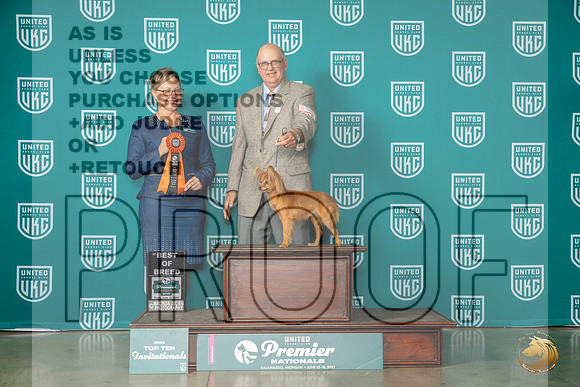 Russian Toy #1110 Thur BOB Judge Felicity TrammellMJP_4002_Premier2023_HR3
