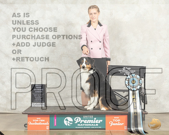 Australian Shepherd #97 Thurs TopJr ROB Judge Kim Thomson__MJ_7822_Premier_2022_HR3