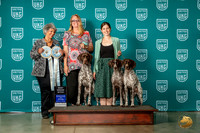 German Shorthaired Pointer #? Brace Judge Mary King