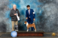 Basenji #7 Mon G4 Judge Dr Steve Keating