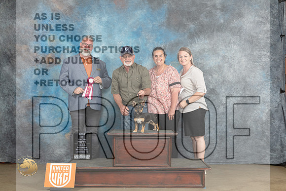 Teddy Roosevelt Terrier #402 Sat Judge PBIS Judge Matthew ProctorMJP_2444_UKCLNVWMAY2023_HR3