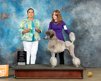 Ashley Lungwitz UKC Longview May 2023