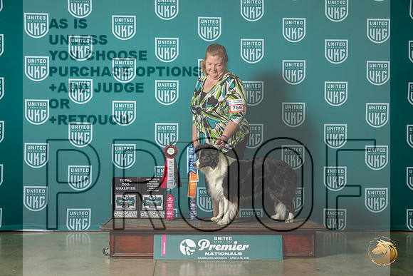 Border Collie #766 Sat TDMJP_5996_Premier2023_HR3