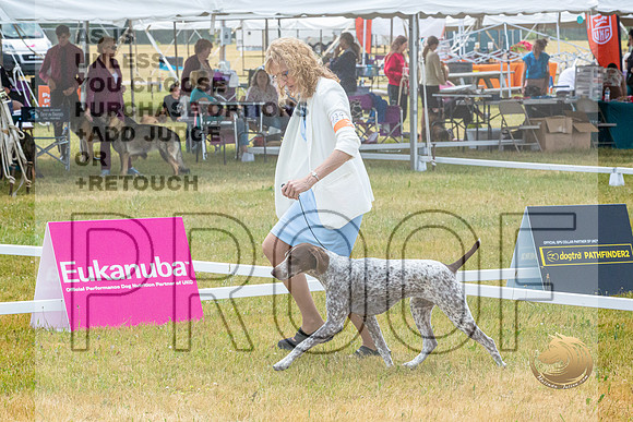 German Shorthaired Pointer Wed Rings_JJL_0015_Premier2023
