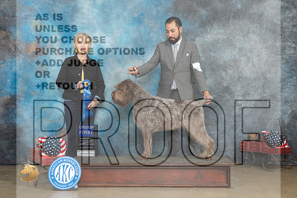 Wirehaired Pointing Griffon #7 Thur Judge Jacqueline L Stacy_MJ_5819_ARK2023_HR3