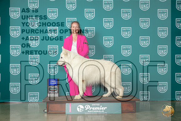 White Shepherd #1237 Fri Sat 1 Strong KallasMJP_5289_Premier2023_HR3