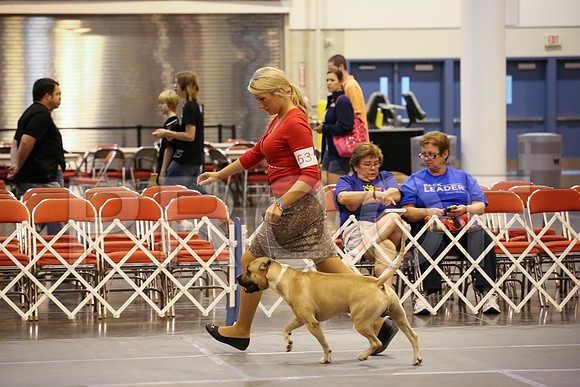 AmStaff-5958-HR300