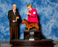 King Charles Spaniel #11 Sat BOB Spears Dr Carmen Herbel and Mr Max Spears and renee Agent Susan Taylor Katzenstein Judge Charles Trotter