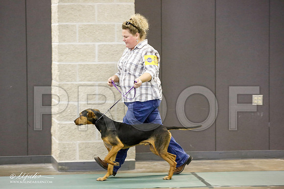 _JN_2619-BeltonJan2015-HR3