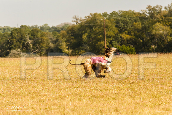 _MJ_3998-AfgBeltonOct2014-HR3