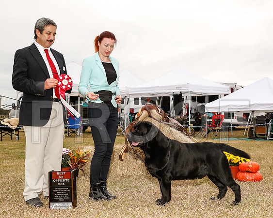 _JJ_2985-DFWLabNov2015-HR3