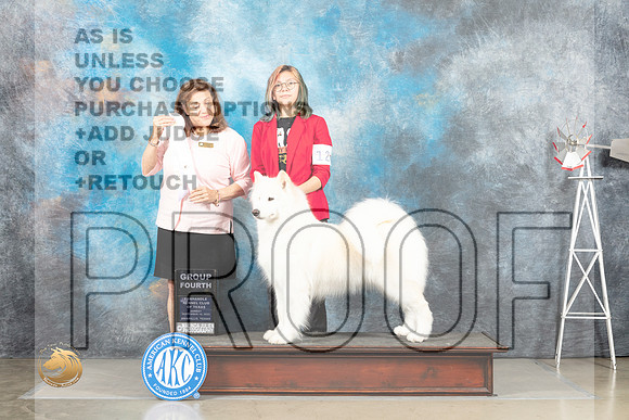 Samoyed #12 Sun G4 Judge Joan Liebes_MJ_5000_Amarillo_2022_HR3