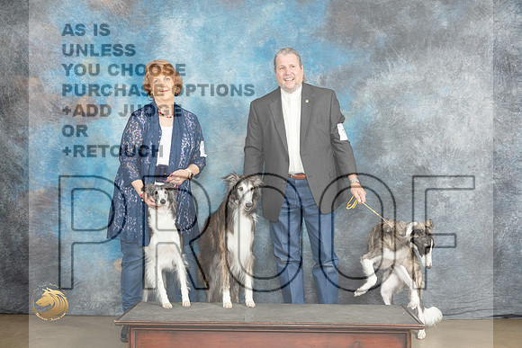 Silken Windhounds #179 FriMJP_1916_UKCLNVWMAY2023_HR3
