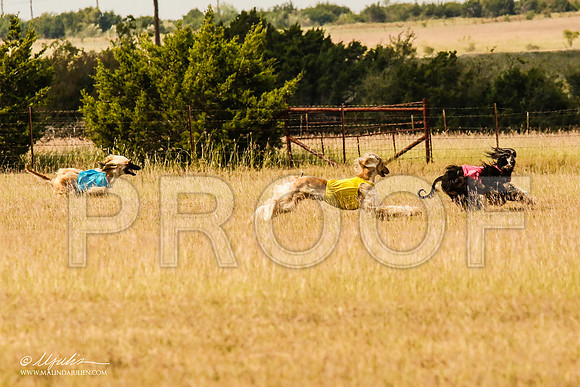 _MJ_5332-AfgBeltonOct2014-HR3