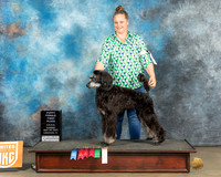 Catherine Nelson UKC Longview May 2023
